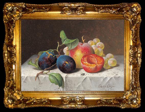 framed  unknow artist Still Life of Fruit, ta009-2